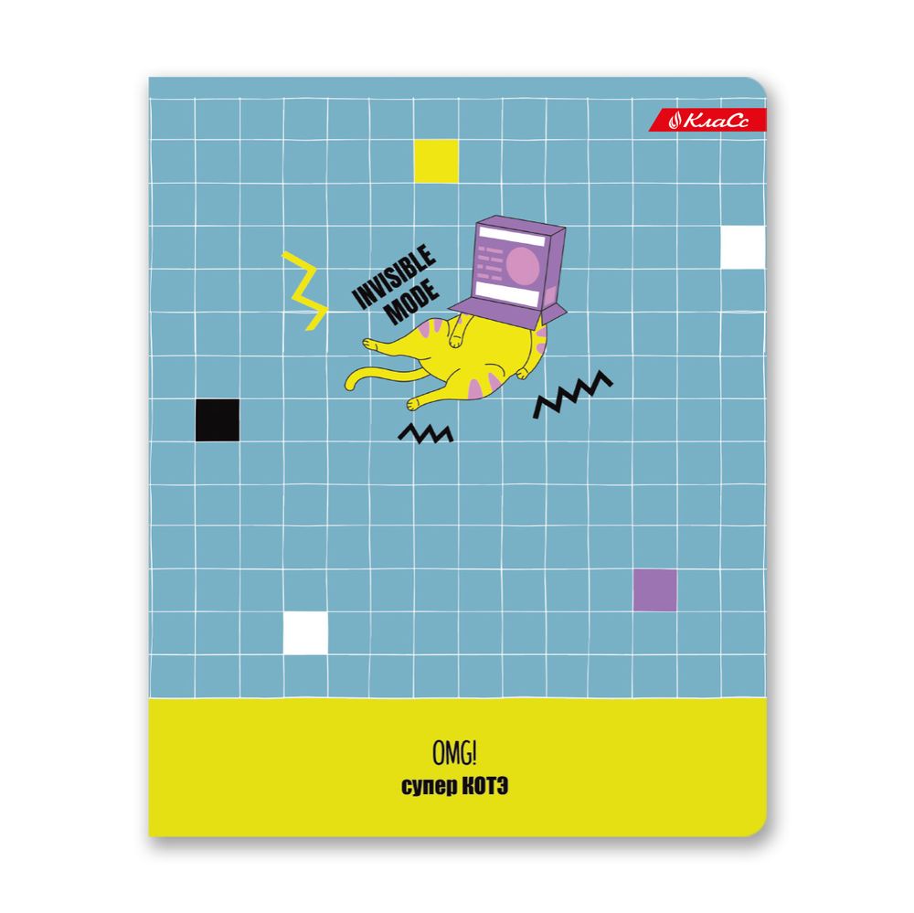 Тетрадь ученическая общая, матовая ламинация + выборочный УФ лак, A5+ 48 л. на скобе, белизна 100%, 10 шт, клетка, 000326 Суперкот, Светоч 48ТСК5_24_3_1