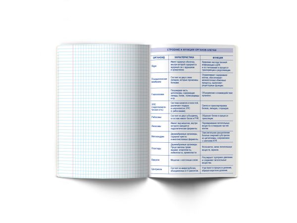 Тетрадь со справочным материалом Скучно не будет!, выборочный лак, A5+ 48 л. на скобе 65 г/м², белизна 100%, 10 шт, клетка, 000536 Биология, Светоч 48ТПСКс5_4_2_1