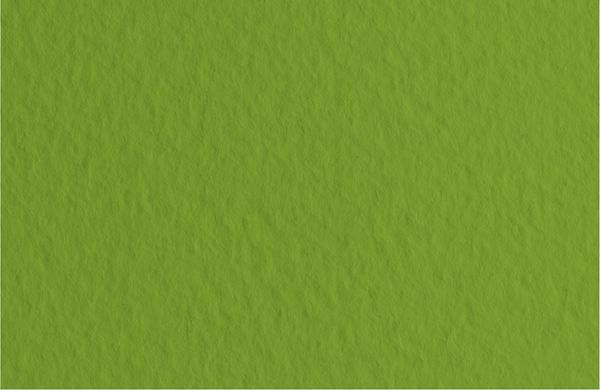 Бумага для пастели 160 г/м², 70х100 см, 10 листов, Pistacchio/Фисташковый, Fabriano