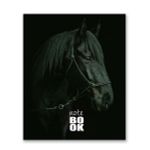 Бизнес-блокнот, матовая ламинация, A5+ 80 л. 18 шт, клетка, Грация 000422, Светоч 80ББТ5_2_5_1