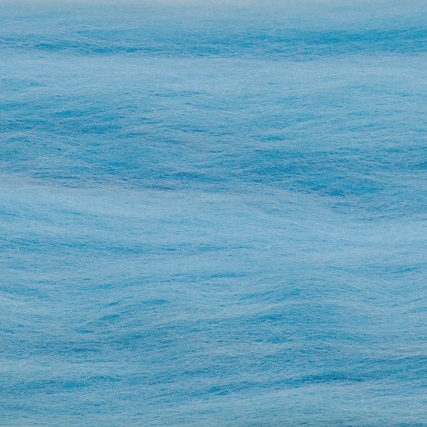 Шерсть для валяния Троицкая тонкая 1х100 г (до 23 мкр), 519 венерин башмачок