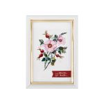 Рамка для картины (фото) пластик с оргстеклом 10х15 см, белый, Gamma ПРК-18