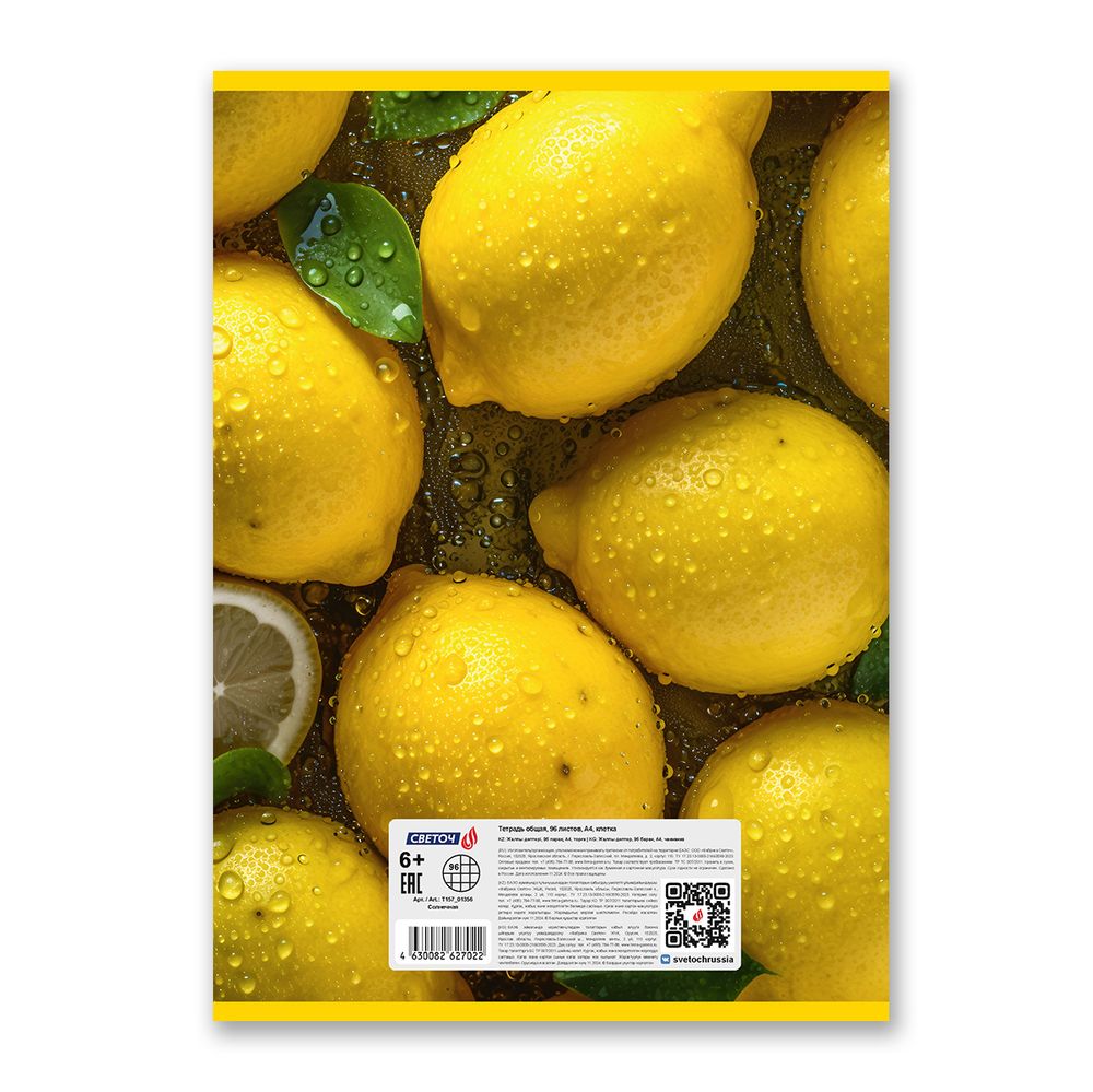 Тетрадь ученическая общая, выборочный лак, A4 96 л. на скобе 65 г/м², белизна 100 %, 6 шт, клетка, 01356 Солнечная, Светоч Т157