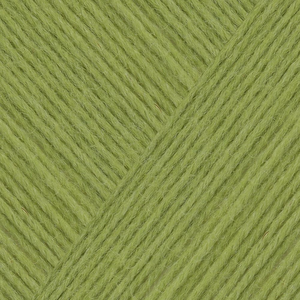Пряжа Schachenmayr (Шахенмайер) Regia Premium Silk, 4 нитки, 100г, 400м, 9801632, 00071 /TOS/