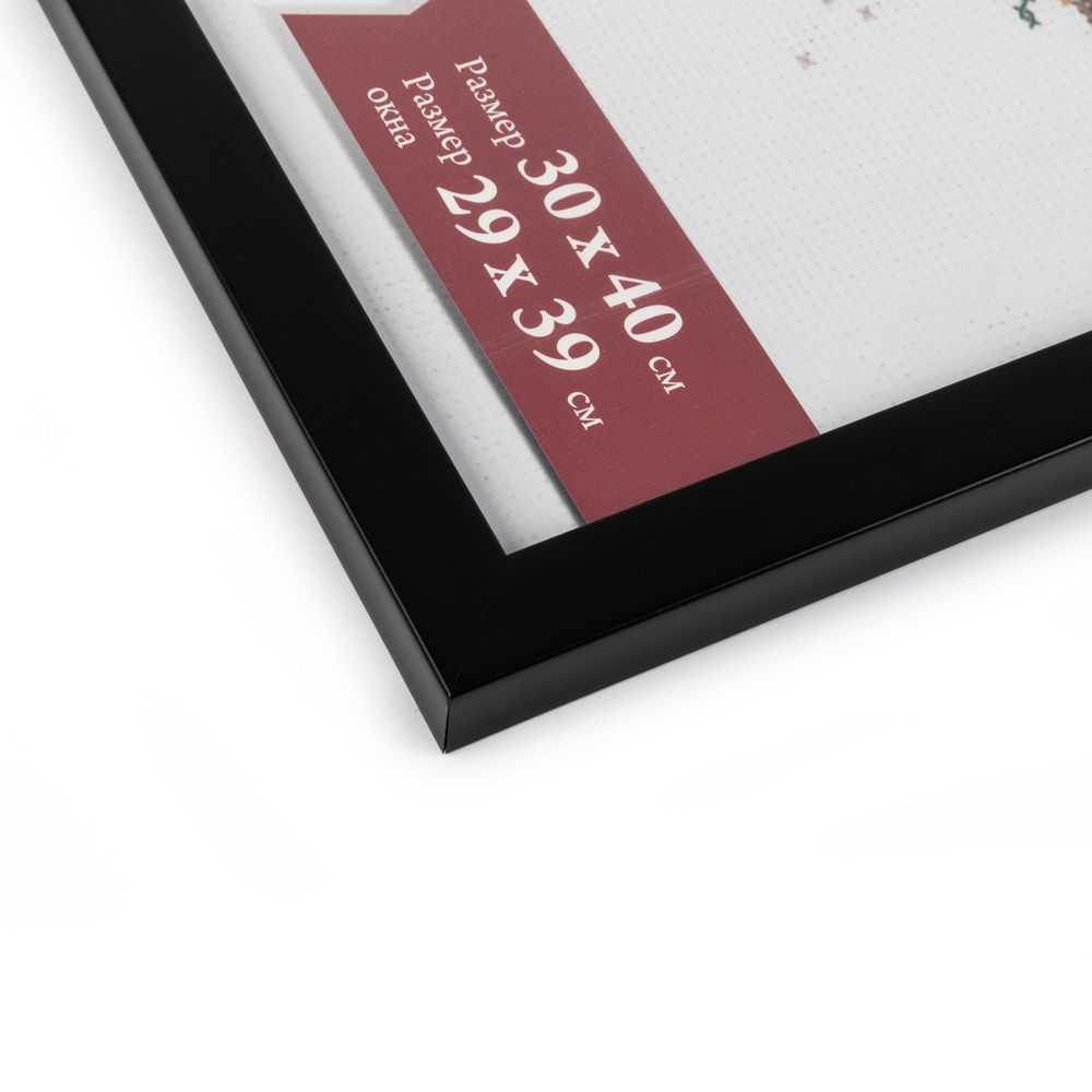 Рамка для картины (фото) пластик с оргстеклом 30х40 см, черный, Gamma ПРК-20