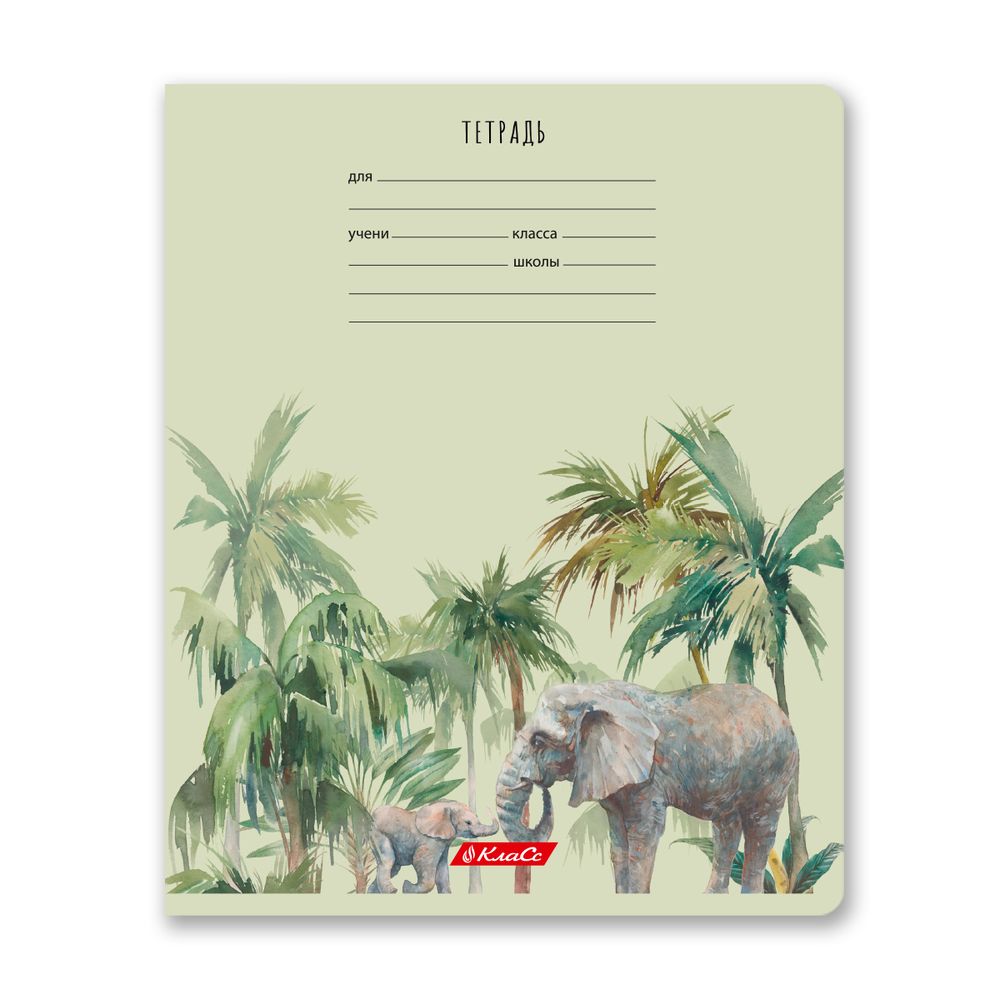 Тетрадь ученическая школьная, A5+ 24 л. на скобе 65 г/м², белизна 100% 30 шт, клетка, 000721 Саванна, Светоч 24ТЕТк-001