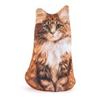 Набор для шитья игрушки Кот мейн-кун 14.3х23.1 см, Miadolla IAS-015