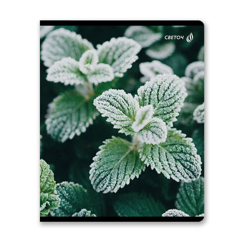 Тетрадь ученическая общая, глянцевая ламинация A5 48 л. на скобе 65 г/м², белизна 100% 10 шт клетка, 01503 Морозная свежесть, Светоч Т71