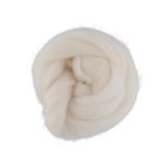 Шерсть для валяния (до 29 мкр), 50 г. 0230 ОТБЕЛКА, Gamma TFS-050