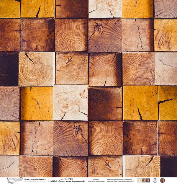 Бумага для скрапбукинга Вокруг меня. Коричневый 190 г/м², 30.5х30.5 см, 10 шт, 1, Mr.Painter PSR 210807