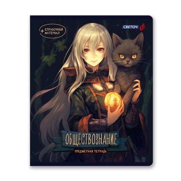 Тетрадь со справочным материалом Ковен тайных знаний, A5+ 48 л. на скобе 65 г/м², белизна 100%, 10 шт, клетка, 00862 Обществознание, Светоч 48Т7