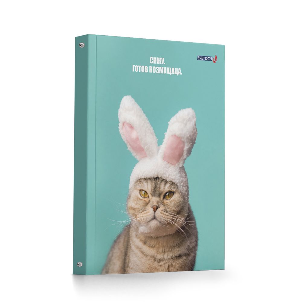 Тетрадь общая со сменным блоком, матовая ламинация A5 120 л. на 4 кольцах 65 г/м², белизна 100% 12 шт, клетка, 000658 Кот и пёс, Светоч ТЕТ120-002