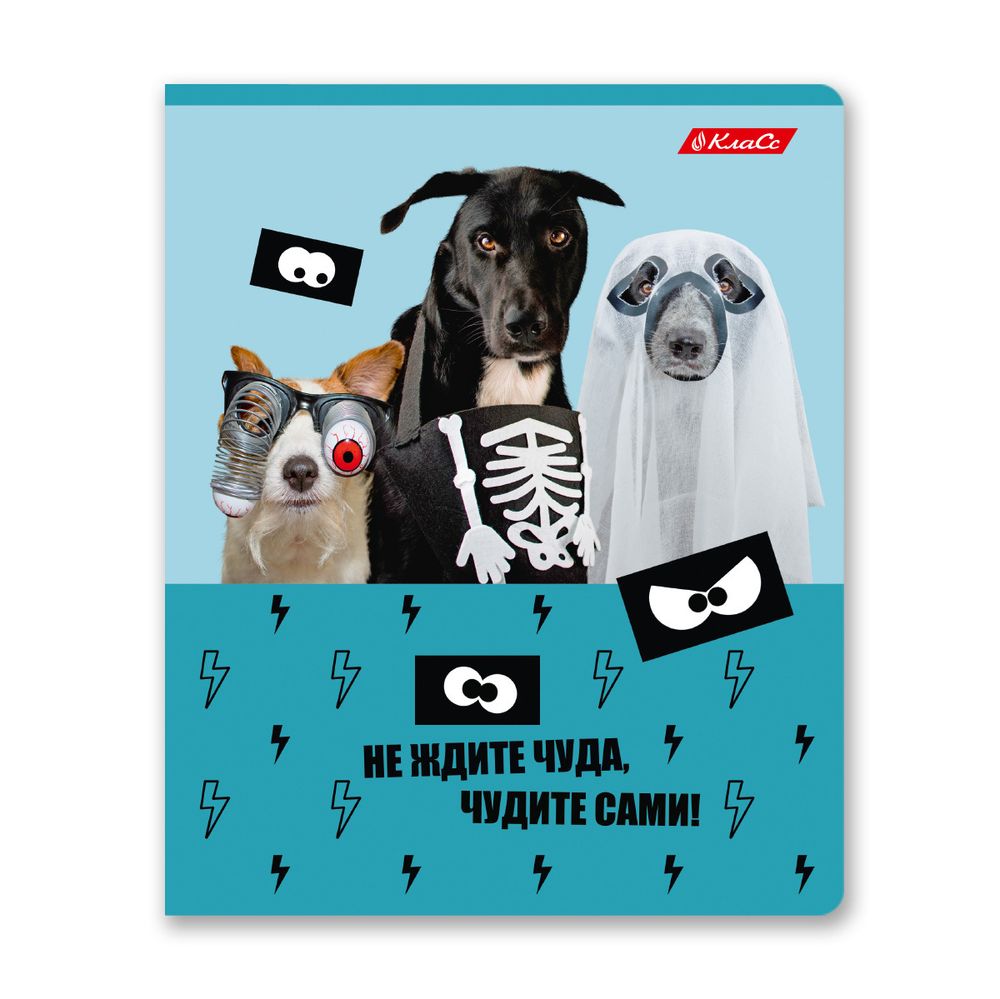 Тетрадь ученическая общая, A5+ 48 л. на скобе 65 г/м², белизна 100%, 10 шт, клетка в термоусадочной пленке, 000727 Чудите с нами!, Светоч 48ТЕТк-001