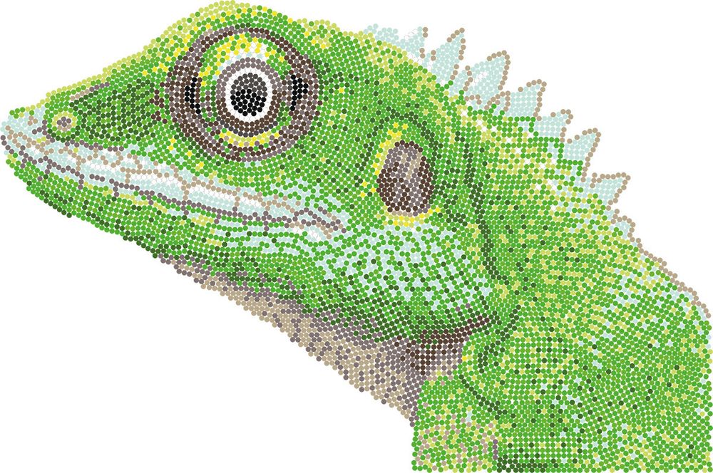 Алмазная (кристальная) мозаика Фрея, постер Ящерица, 40х30 см