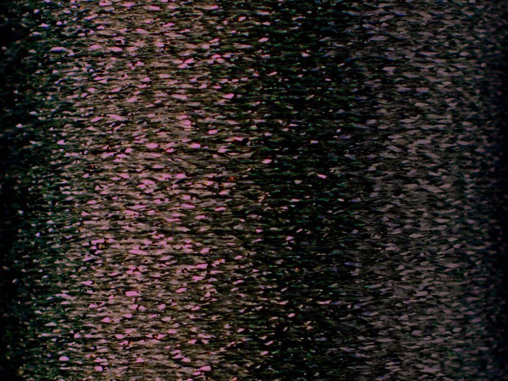 Нитки вышивальные металлизированные Madeira Metallic №40, 200 м, цв. 481, 9842, 5 катушек