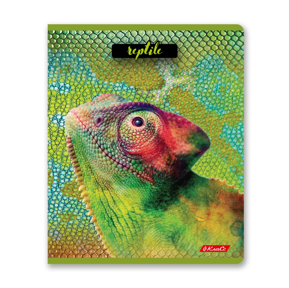 Тетрадь ученическая общая, твин лак, A5+ 80 л. на скобе 65 г/м², белизна 100%, 5 шт, клетка в термоусадочной пленке, 000487 Рептилии, Светоч 80ТСК5_8_2_1