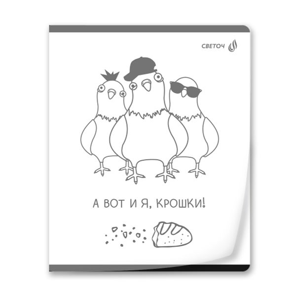 Тетрадь общая с пластиковойобложкой 180 мкр, ч/б запечат. титульн.лист, A5 60 л. на скобе 65 г/м², белизна 100 %, 10 шт, клетка, 01107 Микс - У нас на районе, Светоч Т64