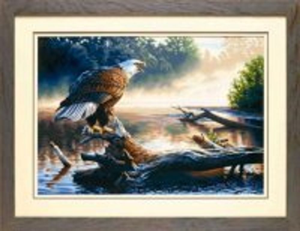 Картина по номерам Dimensions, Орел-охотник 51x36 см