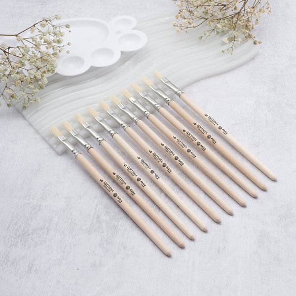 Кисть школьная, щетина, плоская №6, 10 шт, Astra&Craft