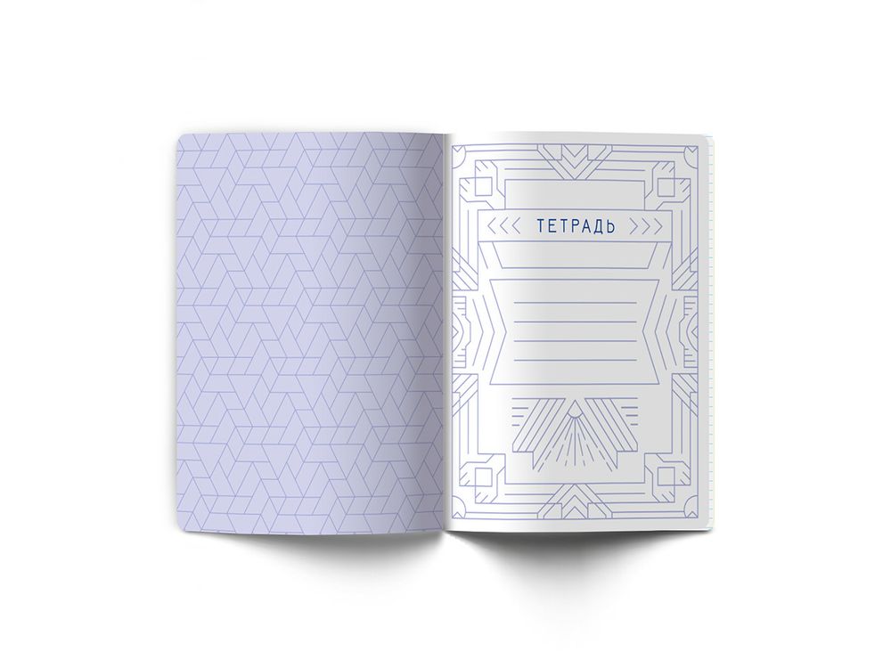 Тетрадь со справочным материалом Линия успеха, софт тач ламинация + тиснение фольгой, A5+ 48 л. на скобе 65 г/м², белизна 100%, 10 шт, клетка, 000573 География, Светоч 48ТПСК5_126_2_1