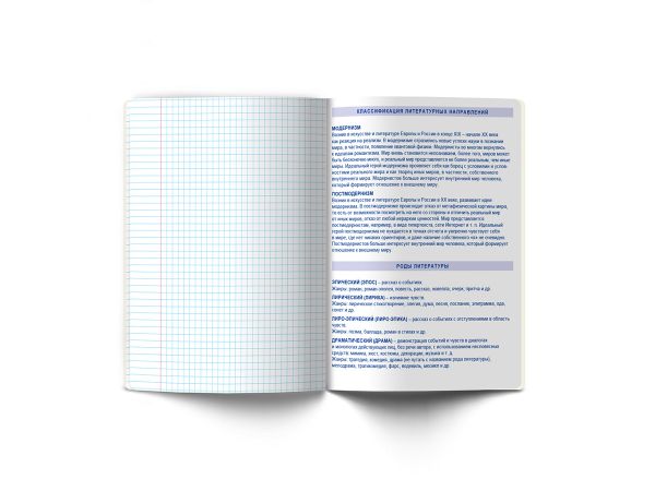 Тетрадь со справочным материалом Линия успеха, софт тач ламинация + тиснение фольгой, A5+ 48 л. на скобе 65 г/м², белизна 100%, 10 шт, линия, 000576 Литература, Светоч 48ТПСК5_126_2_2