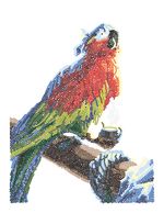 Алмазная (кристальная) мозаика Фрея, на подрамнике Попугай Флинта, 30х40 см