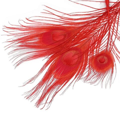 Перо павлина декоративное 25-30см, 10 штук (красный), AR204-2