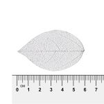 Листья скелетированные 2-6 см, 50 шт (5х10 шт), 03 серебристый, Mr.Painter SFL-01