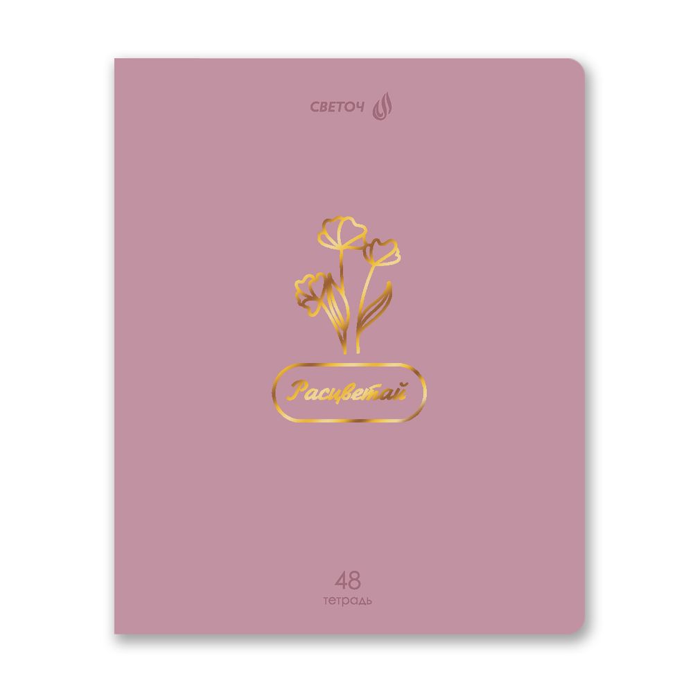 Тетрадь ученическая общая, тиснение золотой фольгой, A5 48 л. на скобе 65 г/м², белизна 100% 10 шт клетка, 01513 Мир красоты, Светоч Т199