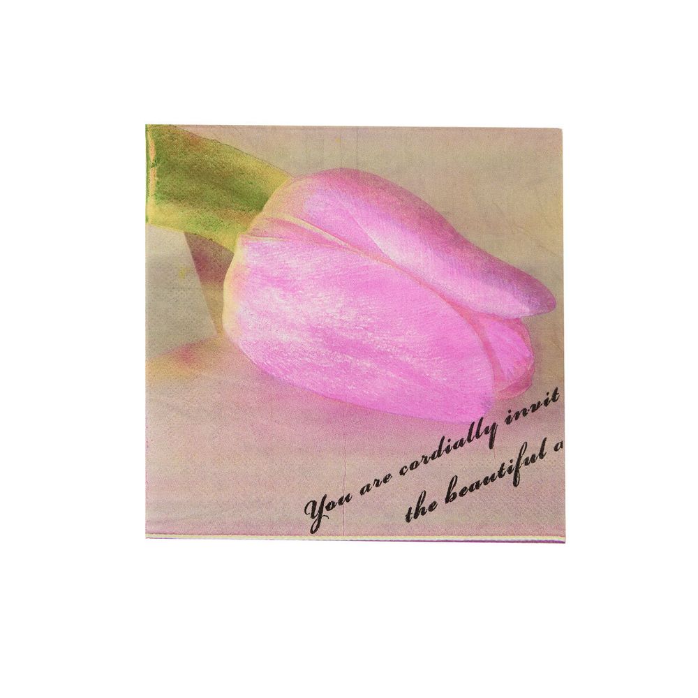 Салфетки 33х33см, 2-х слойные AY, 20 шт/упак (AY-1665)