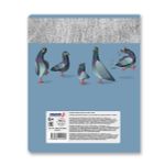 Тетрадь ученическая общая, A5+ 48 л. на скобе 65 г/м², белизна 100%, 10 шт, клетка в термоусадочной пленке, 000725 Курлык!, Светоч 48ТЕТк-001