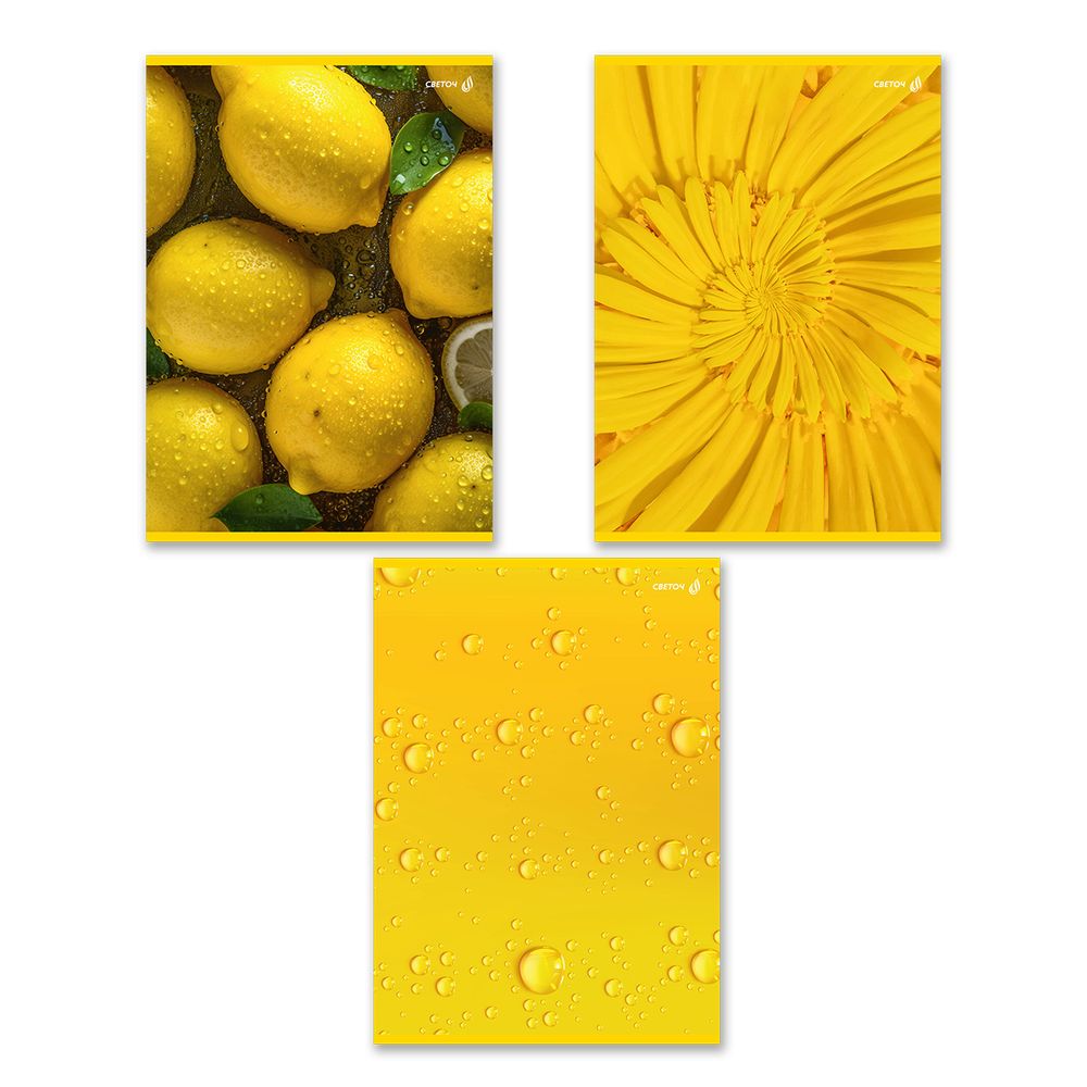 Тетрадь ученическая общая, выборочный лак, A4 96 л. на скобе 65 г/м², белизна 100 %, 6 шт, клетка, 01356 Солнечная, Светоч Т157