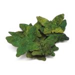 Декоративные элементы из коры дерева "Бабочки", 7х9см, 10 шт, зеленый