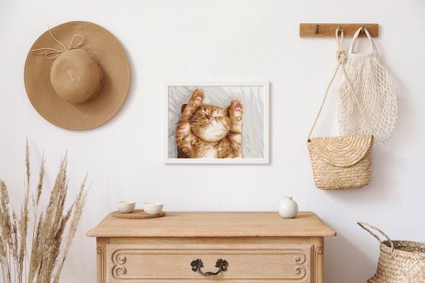 Картина по номерам Фрея PNB/PM-243, Сладкий сон котика, 40х30 см