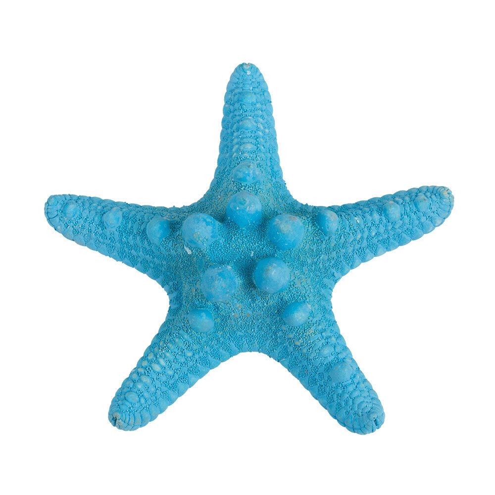 Морская звезда декоративная 5 шт, №04 синий, Blumentag MZF-001