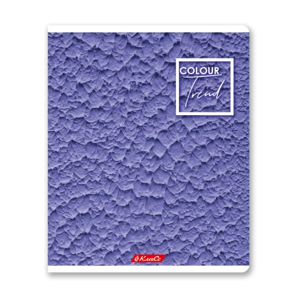 Тетрадь ученическая общая A5+ 48 л. на скобе, белизна 100%, 10 шт, клетка, 000308 Черничный рай, Светоч 48ТСК5_1_3_1