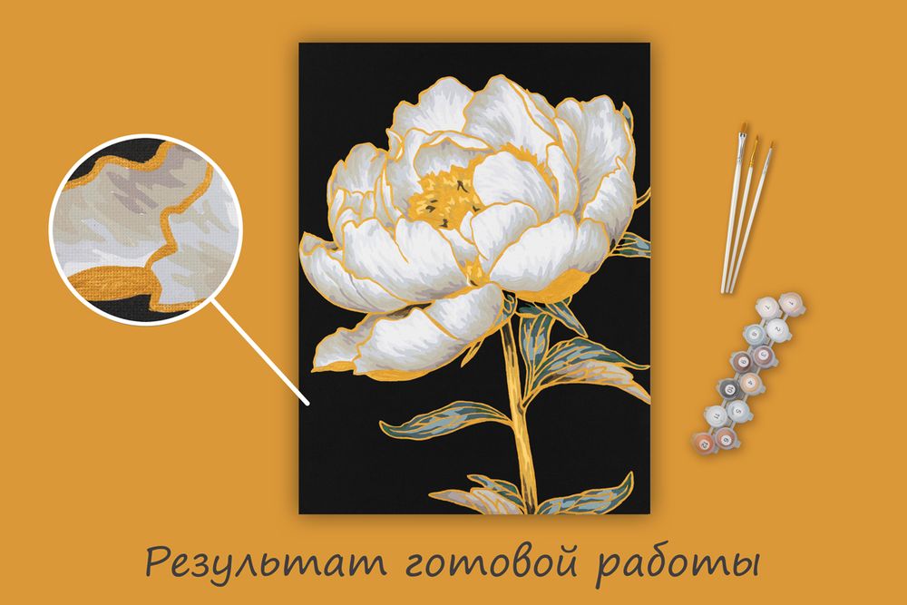 Картина по номерам Фрея PNB/PMB-307, Золотой пион, (эффект черного холста с краской-металлик) 40х30 см