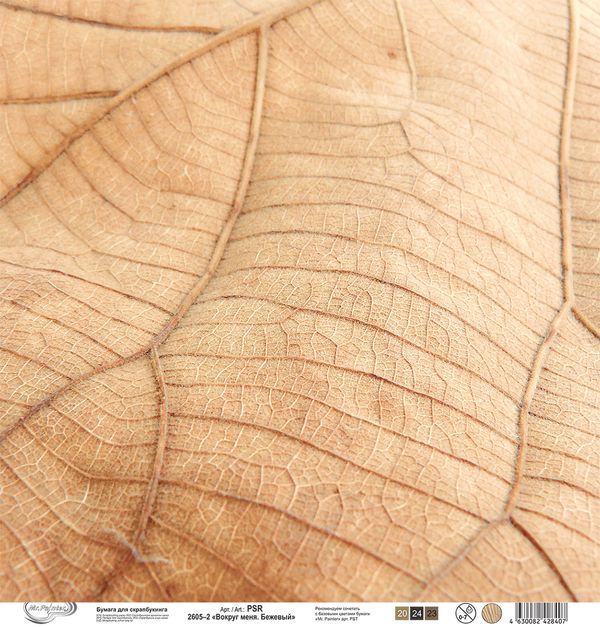 Бумага для скрапбукинга Вокруг меня. Бежевый 190 г/м², 30.5х30.5 см, 10 шт, 2, Mr.Painter PSR 2605