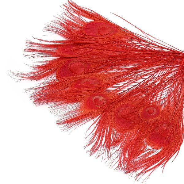Перо павлина декоративное 25-30см, 10 штук (красный), AR204-2