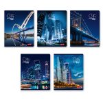 Тетрадь ученическая общая, A5+ 60 л. на скобе 65 г/м², белизна 100%, 10 шт, клетка в термоусадочной пленке, 000482 Мегаполис, Светоч 60ТСК5_0_2_1