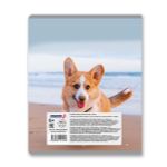 Тетрадь ученическая общая, A5+ 48 л. на скобе 65 г/м², белизна 100%, 10 шт, клетка в термоусадочной пленке, 000752 Смешные и шерстяные, Светоч 48ТЕТк-001