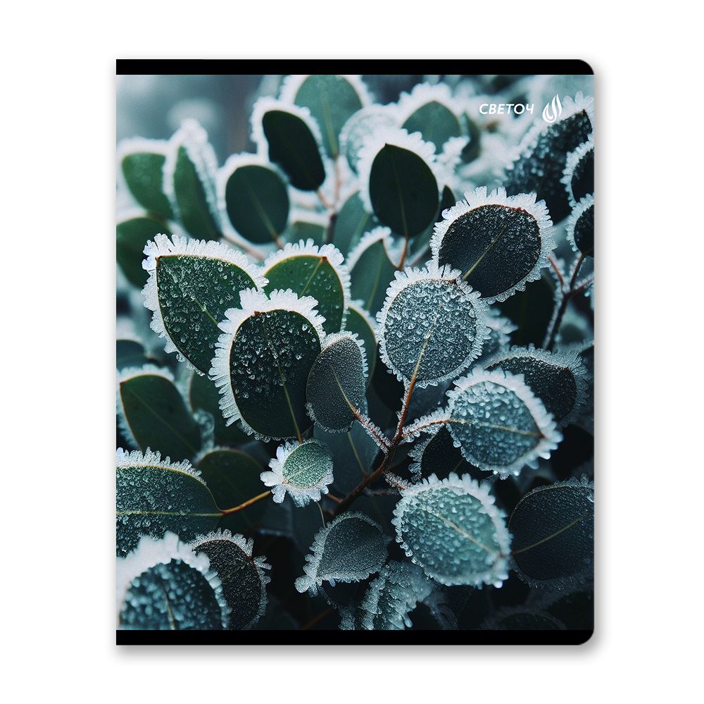 Тетрадь ученическая общая, глянцевая ламинация A5 48 л. на скобе 65 г/м², белизна 100% 10 шт клетка, 01503 Морозная свежесть, Светоч Т71