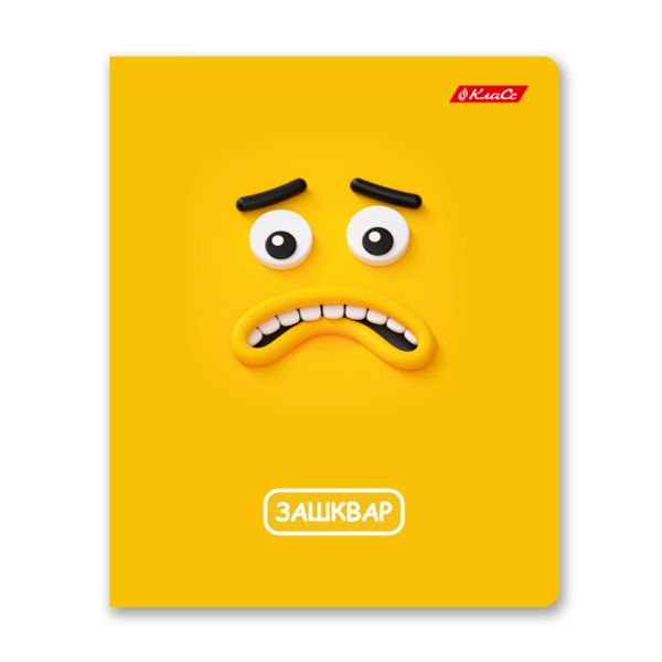 Тетрадь ученическая общая, A5+ 48 л. на скобе 65 г/м², белизна 100%, 10 шт, линия в термоусадочной пленке, 000756 Жиза, Светоч 48ТЕТл-001