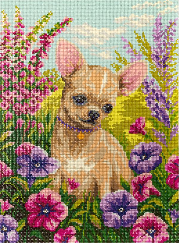 Алмазная (кристальная) мозаика Фрея, Чихуахуа, 30х40 см