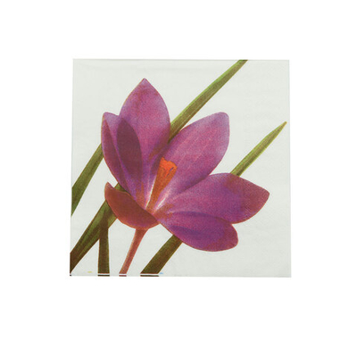 Салфетки 33х33см, 2-х слойные AY, 20 шт/упак (AY-1666)