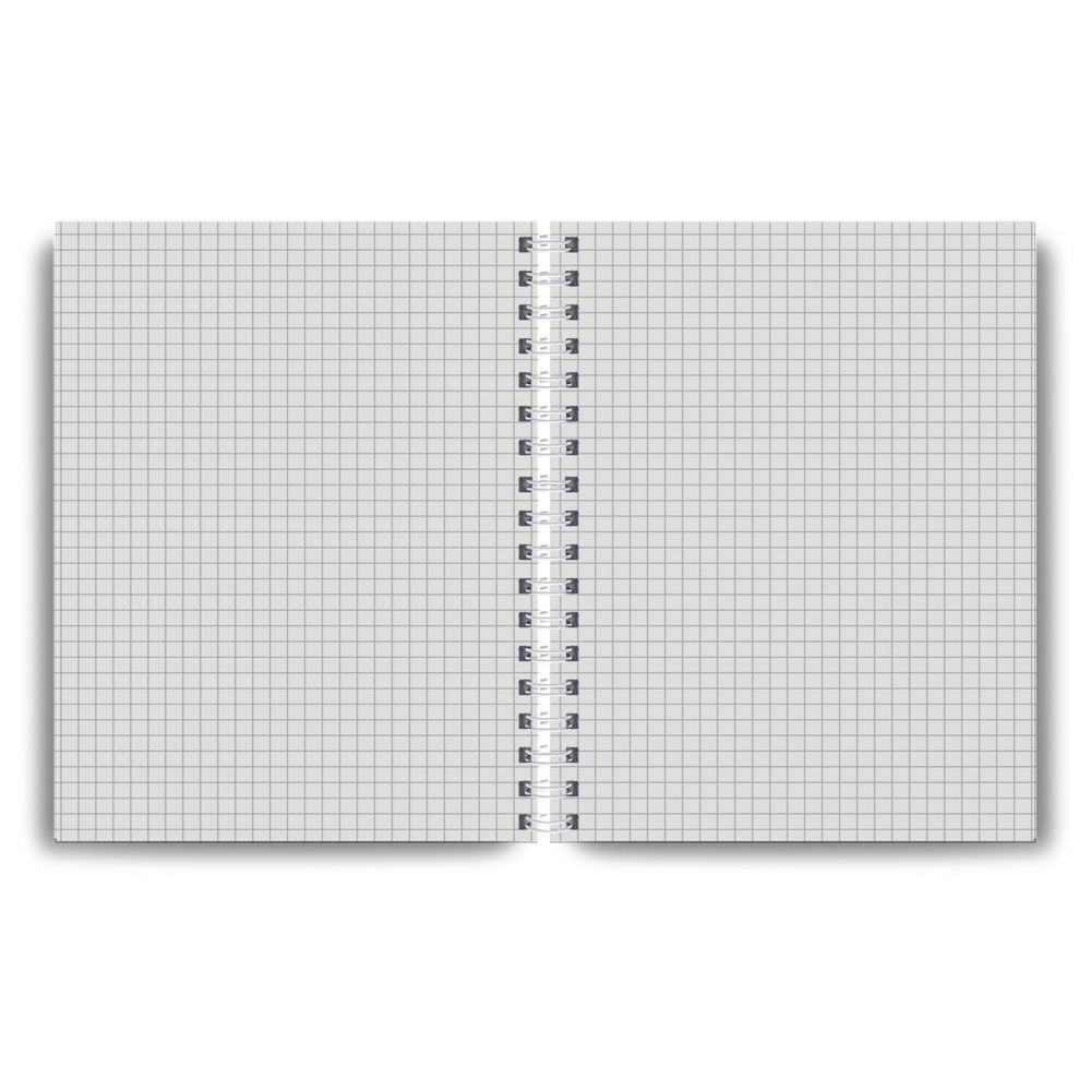 Тетрадь общая с запечатан. пластиковой обложкой, 500 мкр, A5+ 96 л. на гребне 65 г/м², белизна 100 %, 4 шт, клетка, 01390 Рок-гитарист, Светоч ТЕТ96-002