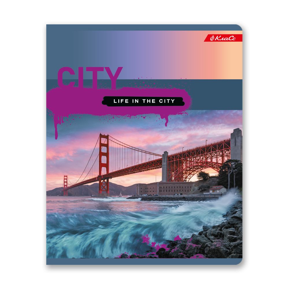 Тетрадь ученическая общая, A5+ 96 л. на скобе, белизна 100%, 5 шт, клетка, 000349 Мегаполис, Светоч 96ТСК5_1_3_1