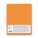 Тетрадь предметная Грызем гранит науки A5+ 48 л. на скобе, 10 шт, клетка, Информатика 48ТСК5 000181, Светоч