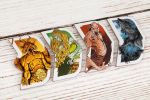 Игра настольная Вампиры у ворот, Эврикус PG-17381