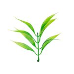 Миниатюра кукольная: Веточки полиэтилен 24 шт, 10, Blumentag GPT-06